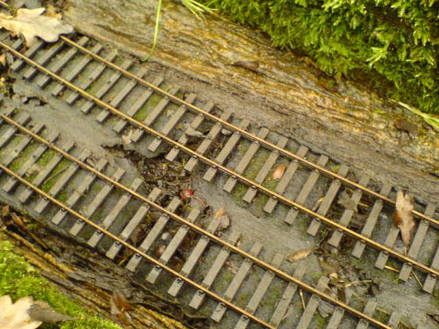 Rotted O gauge track base